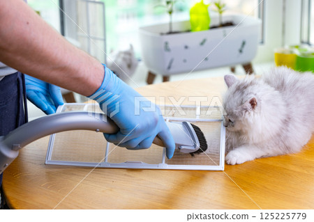 Caring for a Clean Home: A Person Using a Vacuum Cleaner Attachment While a Curious Cat Observes the Cleaning Activity on a Wooden Table in a Bright Room 125225779