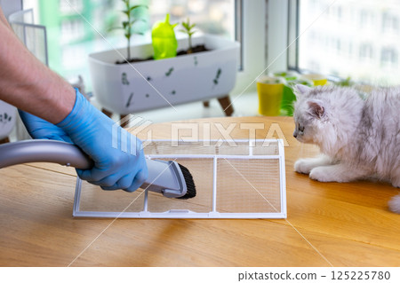 A Hands-On Approach to Cleaning: Vacuuming a Filter with a Curious Cat Watching in a Bright and Lively Indoor Setting 125225780