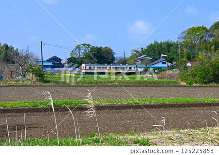 Diesel car on the Ryugasaki Line 125225853