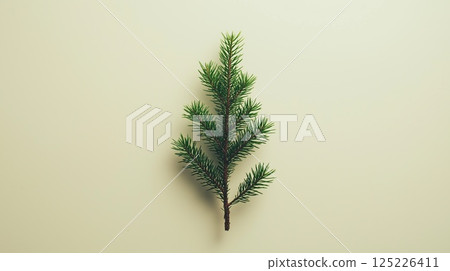Single green pine branch on a neutral background Single green pine branch on a neutral background 125226411