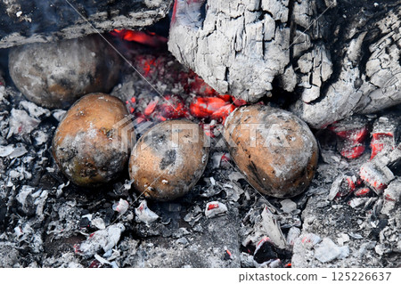 Picnic in nature. Cooking potatoes and kebabs over the fire. Fire texture. Coals and flames. Macro filming. Picnic in nature. Cooking potatoes and kebabs over the fire. Fire texture. Coals and flames. Macro filming. 125226637