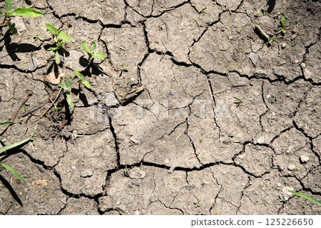 Drying cracks forming a characteristic pattern in clay soil. Natural background. World climate change, water crisis. Cracked earth. Takir, takyr soils. Landform, drying out saline soil i 125226650