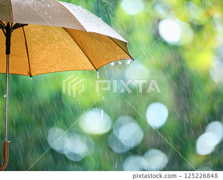 雨天的雨傘 125226848