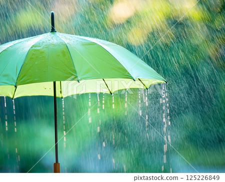 雨天的雨傘 125226849
