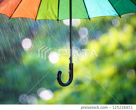 雨天的雨傘 125226851