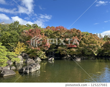 多彩花園 125227081