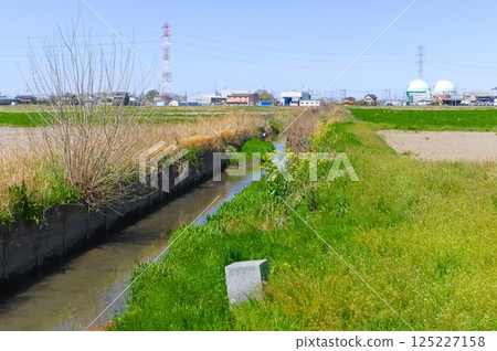Around the source of the Shinkata River, Saitama City, Saitama Prefecture April 2025 125227158