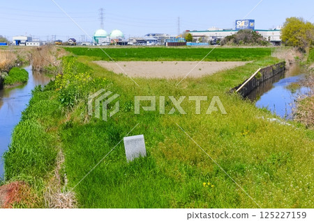 Around the source of the Shinkata River, Saitama City, Saitama Prefecture April 2025 125227159