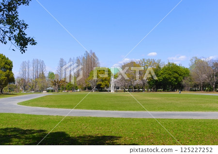 Around Showa General Park, Kasukabe City, Saitama Prefecture April 2025 125227252