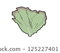 陽光生菜 125227401