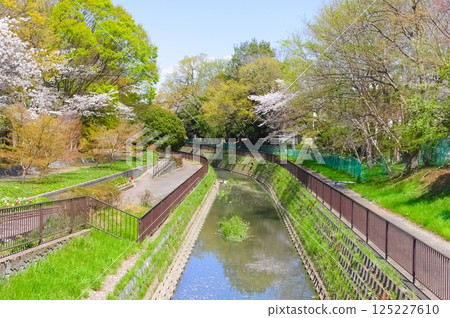 埼玉縣春日部市關內灌溉渠 2025 年 4 月 埼玉縣春日部市關內灌溉渠 2025 年 4 月 125227610