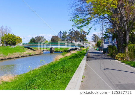 Along the Shinkata River, Koshigaya City, Saitama Prefecture April 2025 Along the Shinkata River, Koshigaya City, Saitama Prefecture April 2025 125227731