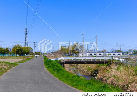 埼玉縣越谷市新方川沿岸 2025年4月 125227735