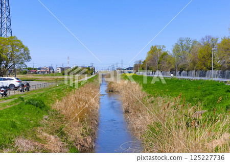 埼玉縣越谷市新方川沿岸 2025年4月 125227736