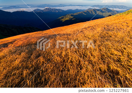 飯豐山脈的紋內山的紅葉與清晨的連峰 125227981