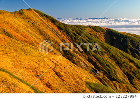 View of Mount Jigami and the Asahi mountain range at sunrise from Mount Monnai in the Iide mountain range 125227984