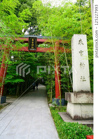 7793 來宮神社 7793 來宮神社 125227993