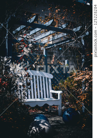 Sunlight through the fall Sunlight through the fall 125228284