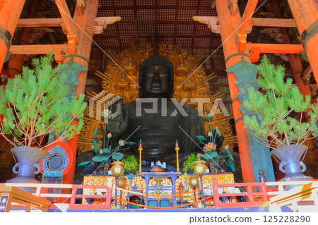Great Buddha (Todaiji Temple Great Buddha Hall, National Treasure, Nara City) Great Buddha (Todaiji Temple Great Buddha Hall, National Treasure, Nara City) 125228290