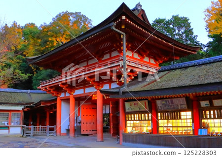 Autumn in the grounds of Kasuga Taisha Shrine (Shrine office and gate, Nara City) Autumn in the grounds of Kasuga Taisha Shrine (Shrine office and gate, Nara City) 125228303