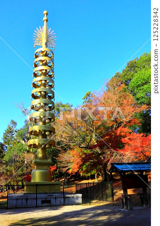 Todaiji Temple grounds in autumn (Nara City, vertical composition) 125228342
