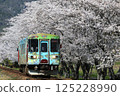 長良川鐵道櫻花線① 125228990