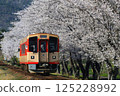 長良川鐵道櫻花樹線③ 125228992