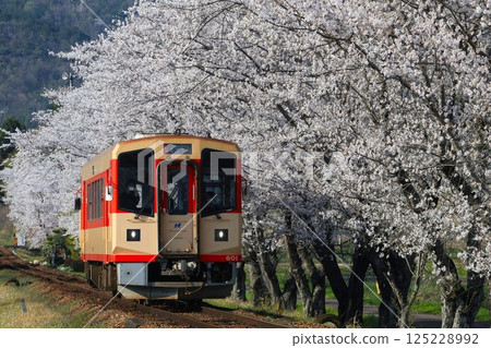 長良川鐵道櫻花樹線③ 長良川鐵道櫻花樹線③ 125228992
