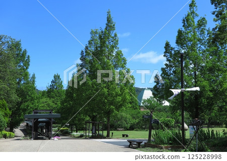 Tango Kingdom - Food Kingdom, one of the largest roadside stations in western Japan: A grassy area with fresh greenery 125228998