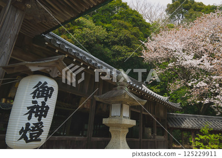 Ako and Sakae, a town overlooking the Setonaikai National Park 125229911