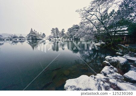 雪景美麗的兼六園 125230160