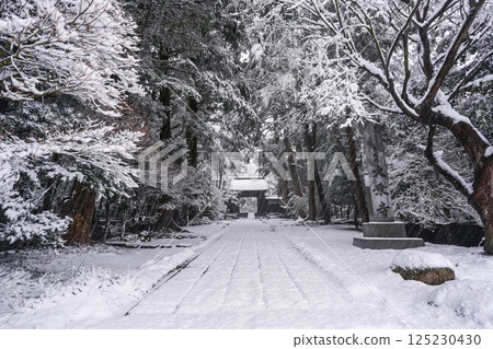 Snow Scene at Daijoji Temple 125230430