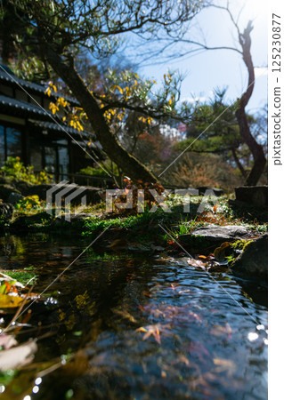 Miniature Japanese Garden Miniature Japanese Garden 125230877