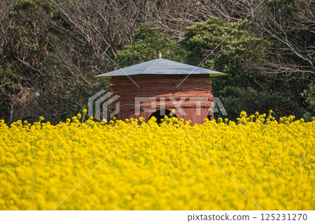 A hut in a rapeseed field A hut in a rapeseed field 125231270