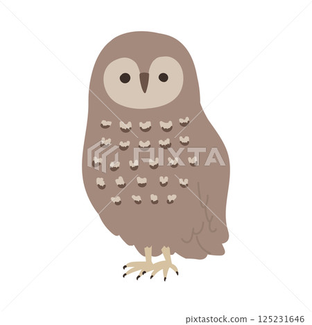 Illustration of a cute owl looking this way Illustration of a cute owl looking this way 125231646