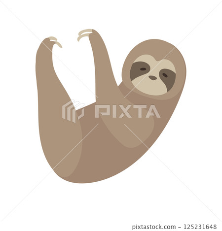 一隻可愛的樹懶掛著的插圖 一隻可愛的樹懶掛著的插圖 125231648