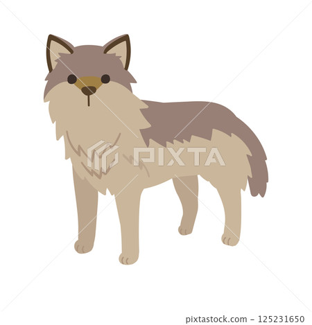 一隻可愛的四條腿的狼的插圖 一隻可愛的四條腿的狼的插圖 125231650