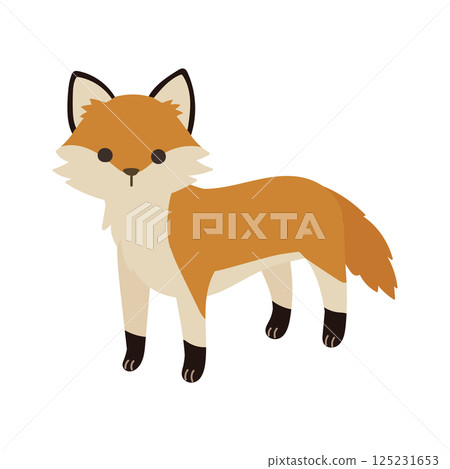 Illustration of a cute fox walking on all fours 125231653