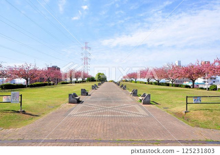 和平公民公園 125231803