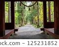 戶隱神社奧社：從隨神門望去的杉樹 125231852