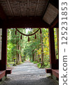 戶隱神社奧社：從隨神門望去的杉樹 125231853