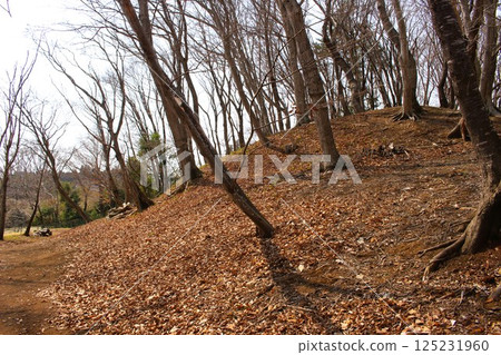 淺間塚古墓 125231960