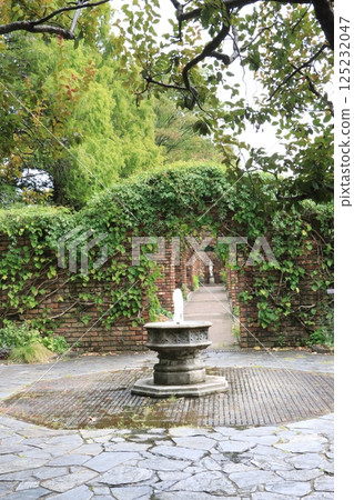 Park scenery with greenery and a fountain Park scenery with greenery and a fountain 125232047