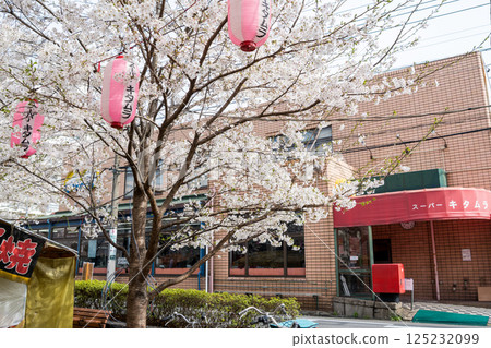 【馬籠櫻花並木街】櫻花盛開、燈籠林立的街道 125232099