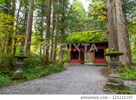 Togakushi Shrine Okusha: Zuishinmon Gate and lanterns Togakushi Shrine Okusha: Zuishinmon Gate and lanterns 125232197