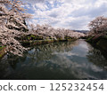 Cherry blossoms appearing on the surface of the water 125232454