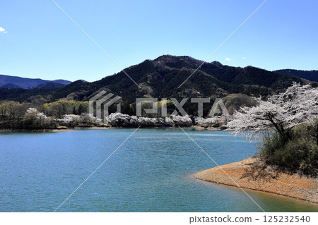 令人心酸的春日風景 125232540