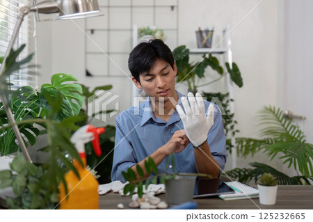 Gardening Preparation and Care. A person putting on gardening gloves, preparing for planting and caring for indoor plants. 125232665