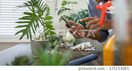 Digital Gardening and Plant Exploration. A person checks plant care tips on their smartphone while tending their ZZ plant. Digital Gardening and Plant Exploration. A person checks plant care tips on their smartphone while tending their ZZ plant. 125233063