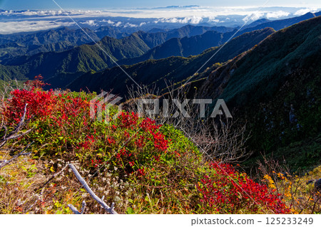Autumn-colored Iide mountain range seen from Mt. Baikabiraki in the morning Autumn-colored Iide mountain range seen from Mt. Baikabiraki in the morning 125233249